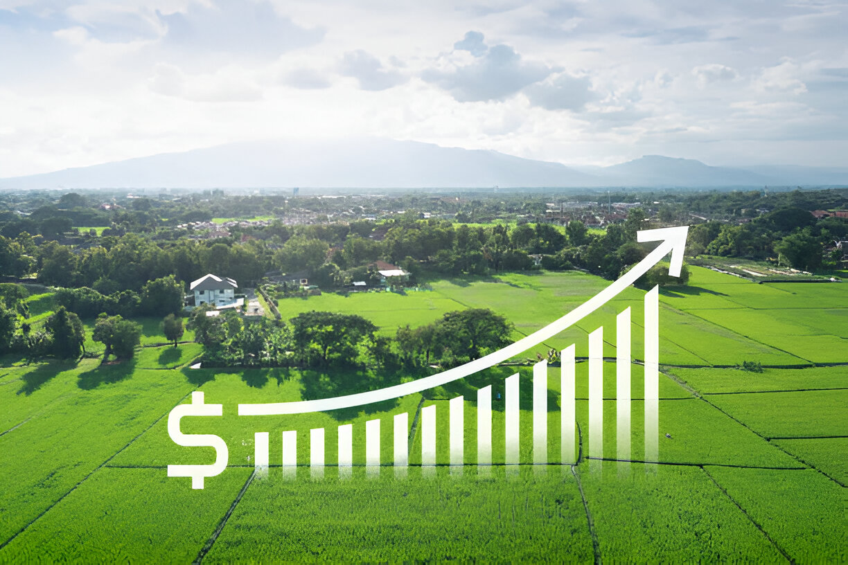 investissement sur terrain nu 